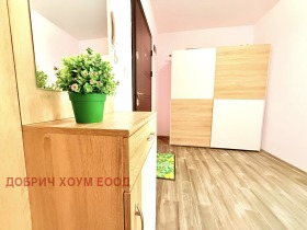 1 Schlafzimmer Zentar, Dobritsch