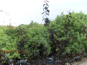 ���� ��� ���� 2-����� | Imot.bg � ����� ������ 7