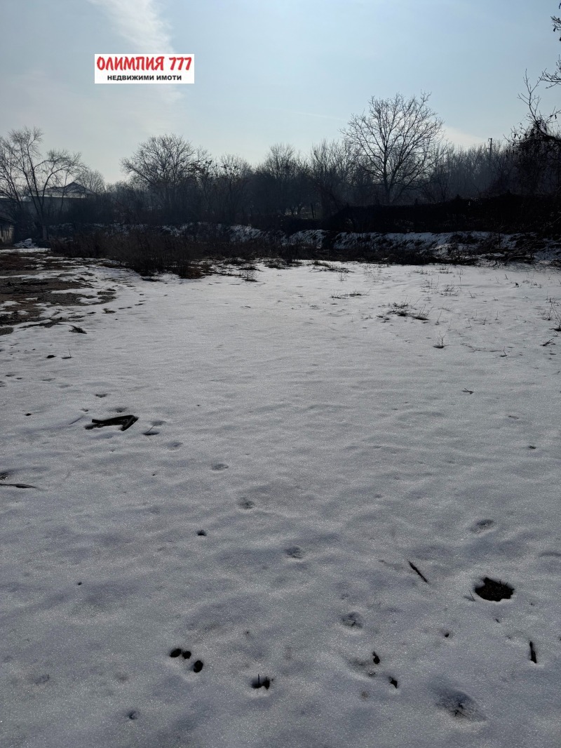 Дава под наем БИЗНЕС ИМОТ, гр. Плевен, Широк център, снимка 9 - Други - 49310929