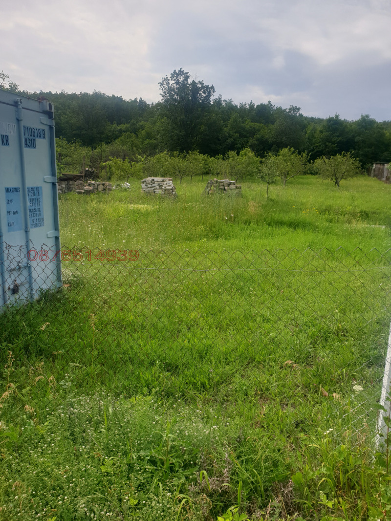 Дава под наем ЗЕМЕДЕЛСКА ЗЕМЯ, гр. Брацигово, област Пазарджик, снимка 2 - Земеделска земя - 52786561