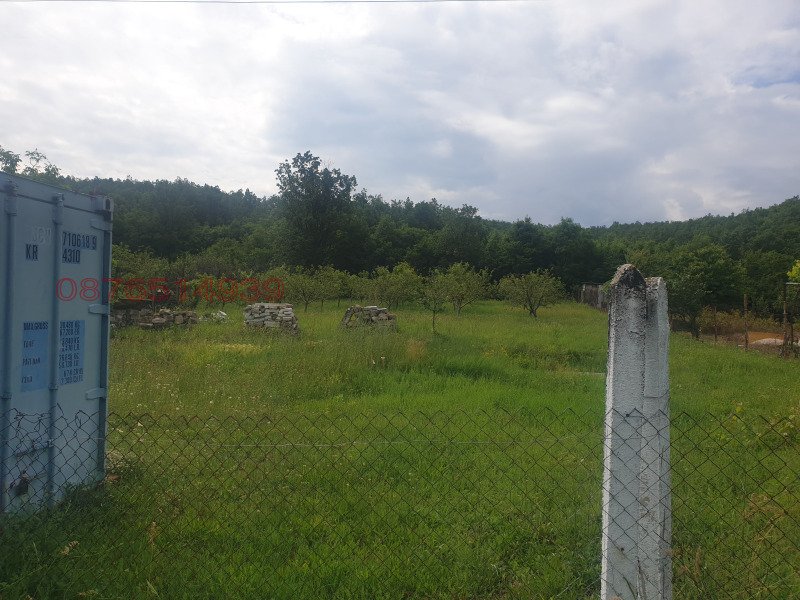 Дава под наем ЗЕМЕДЕЛСКА ЗЕМЯ, гр. Брацигово, област Пазарджик