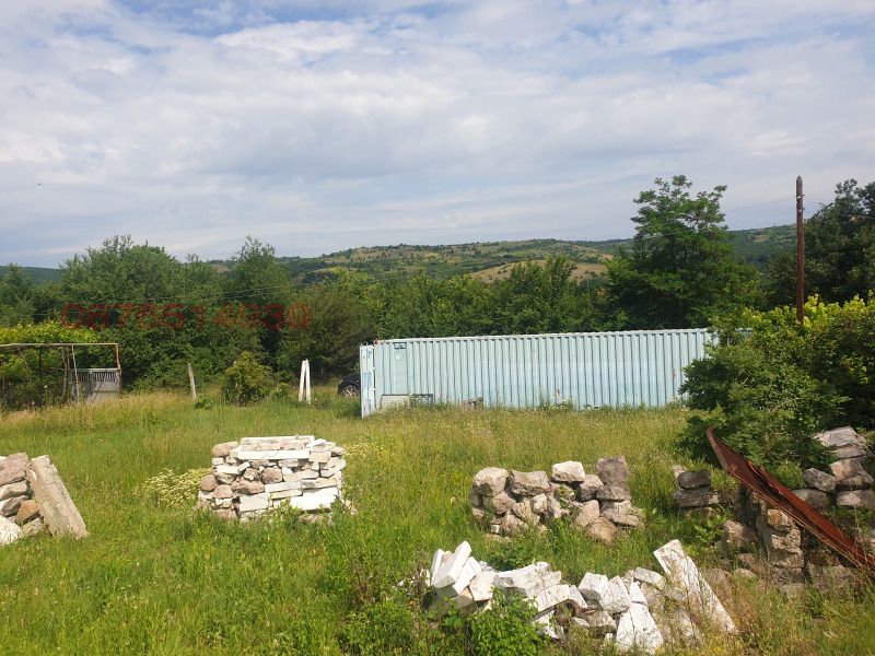 Дава под наем ЗЕМЕДЕЛСКА ЗЕМЯ, гр. Брацигово, област Пазарджик, снимка 3 - Земеделска земя - 52786561