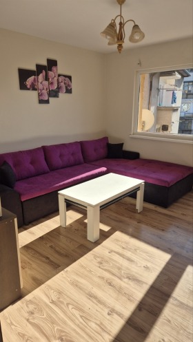 ����� ���� ��� ���� 3-�����,���� ���������, ������� ������