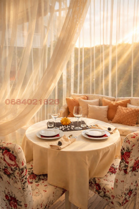 ������ ���� ��� ���� ���������