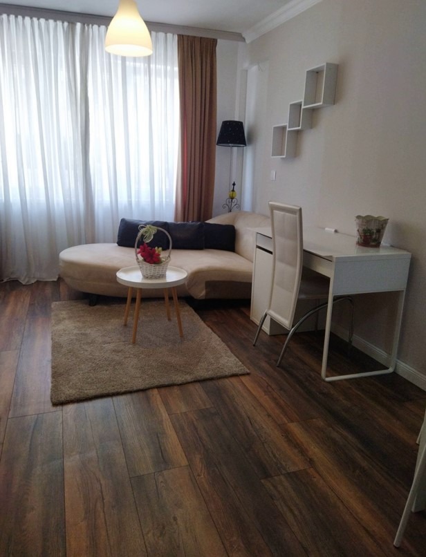 De inchiriat  1 dormitor Sofia , Belite brezi , 70 mp | 73530608