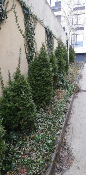 ���� ��� ���� 2-����� | Imot.bg � ����� ������ 14