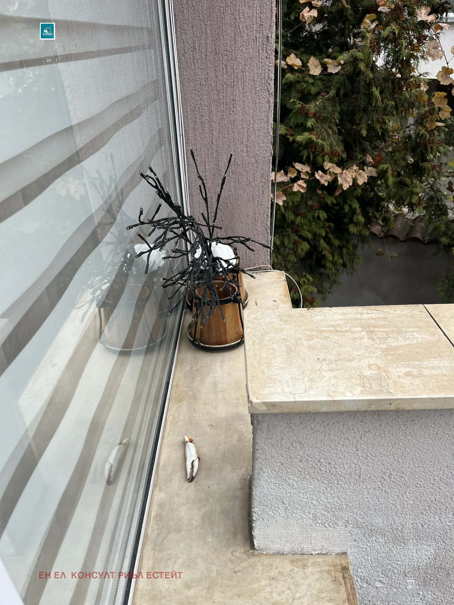 ���� ��� ���� 1-����� | Imot.bg � ����������� 7