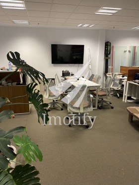 ����� ���� ��� ���� ����,���� �����, ��������