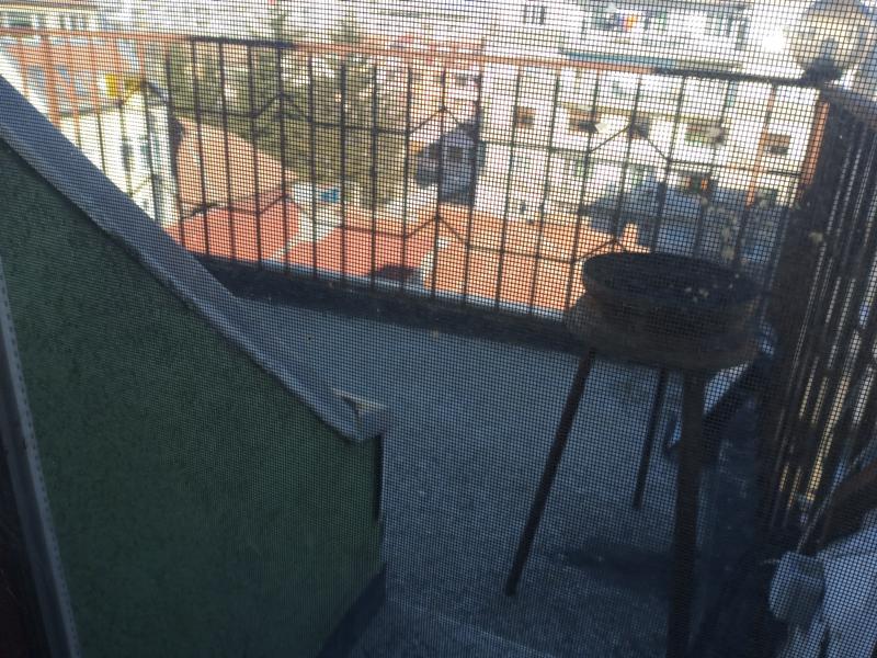 Дава под наем 3-СТАЕН, гр. Плевен, Широк център, снимка 4 - Апартаменти - 53832406