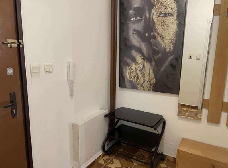 Издаје се  1 спаваћа соба Софија , Центар , 56 м2 | 16809300 - слика [10]