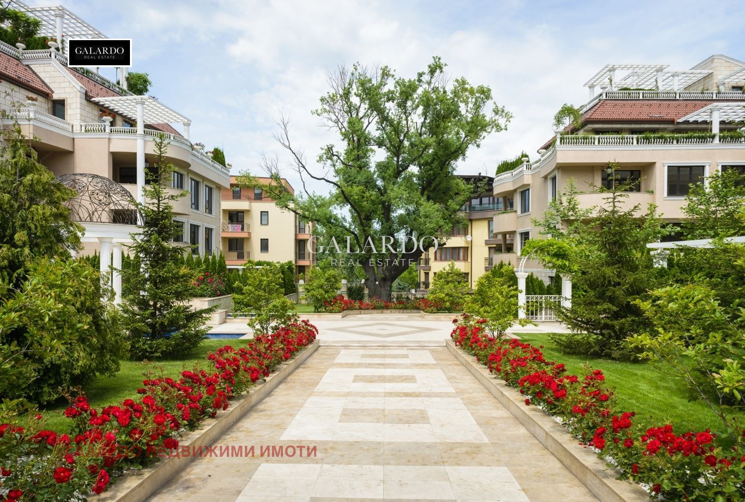 ���� ��� ���� 3-����� | Imot.bg � ����������� 15