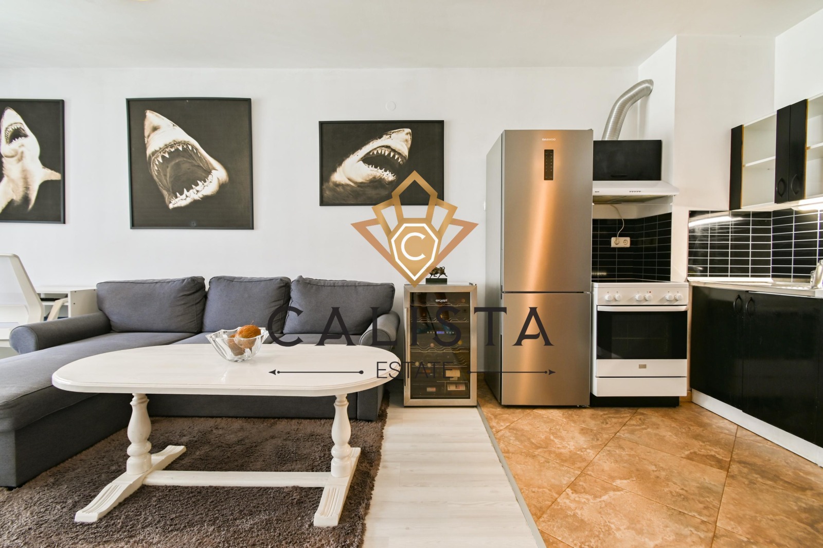 Дава под наем 2-СТАЕН, гр. София, Център, снимка 2 - Апартаменти - 54050768