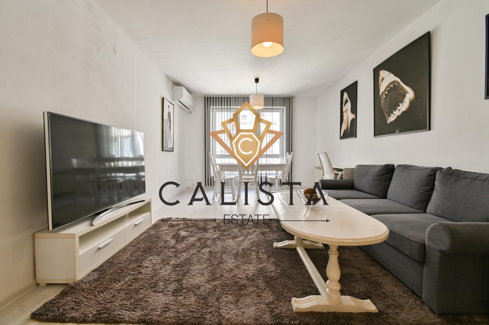 Дава под наем 2-СТАЕН, гр. София, Център, снимка 2 - Апартаменти - 54050768