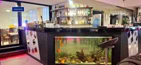 ���� ��� ���� ��������� | Imot.bg � ����� ������ 2