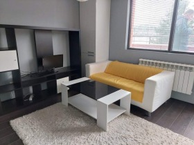 1 bedroom Vitosha, Sofia 1