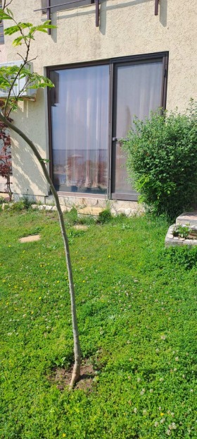 ���� ��� ���� 2-����� | Imot.bg � ����� ������ 2