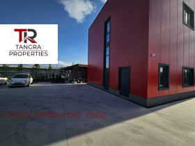 ������ ���� ��� ���� ����. ���������