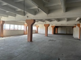 ����� ���� ��� ���� ����. ���������,���� ����� ������, ������������ ���� - �����