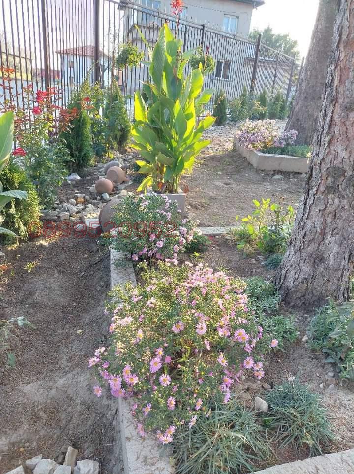 Дава под наем КЪЩА, гр. Долна Митрополия, област Плевен, снимка 10 - Къщи - 52786434