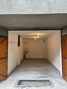 ����� ���� ��� ���� �����,���� �����, �������� �����