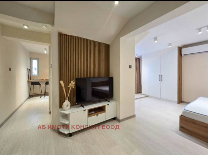 Дава под наем 1-СТАЕН, гр. София, Център, снимка 2 - Апартаменти - 53035293