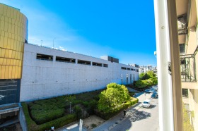 ����� ���� ��� ���� ����������,���� �����, �������