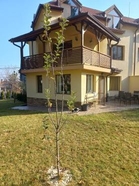 Casa Dragalevtsi, Sofia 1