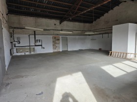 ������ ���� ��� ���� ����. ���������