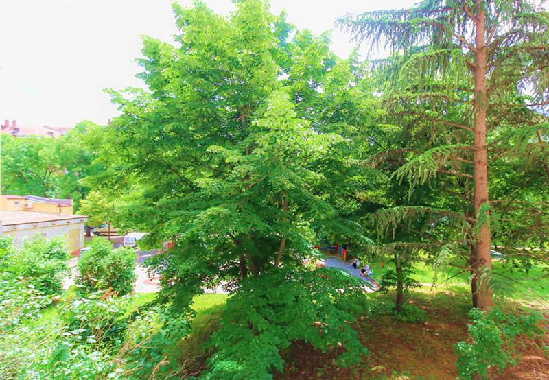 A louer  2 chambres Sofia , Zona B-18 , 100 m² | 45867200 - image [16]
