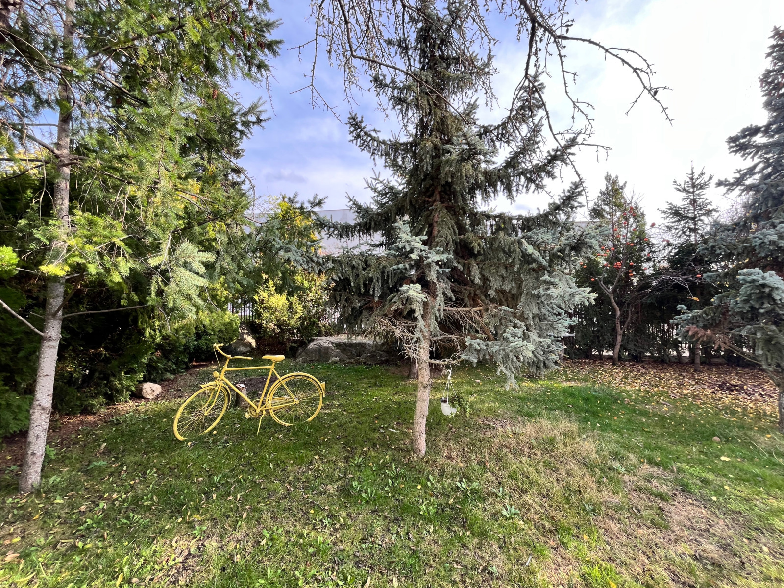 ���� ��� ���� 1-����� | Imot.bg � ����������� 10