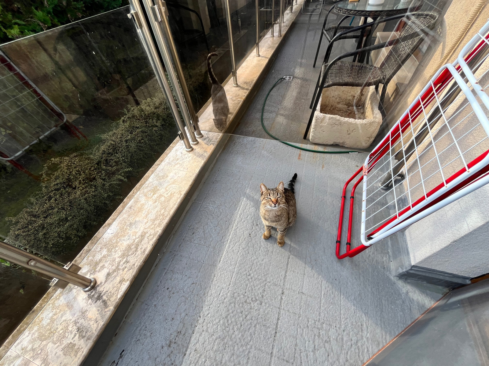 ���� ��� ���� 1-����� | Imot.bg � ����������� 7