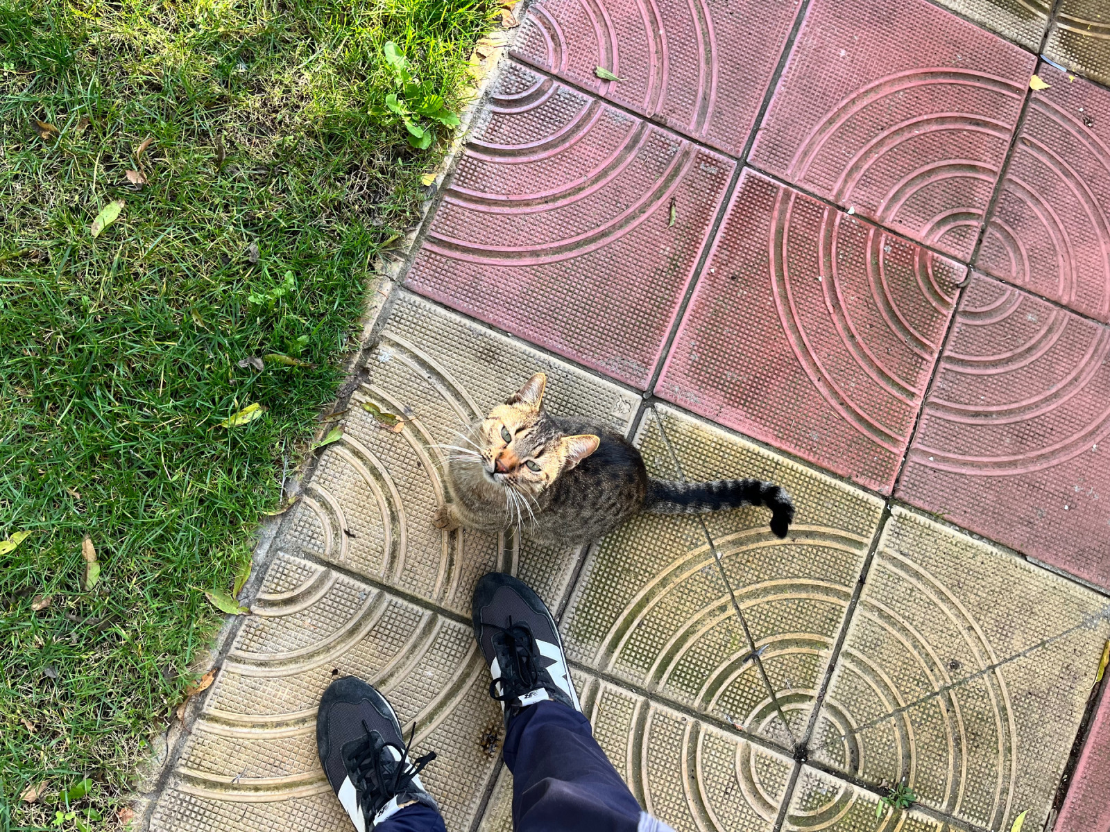 ���� ��� ���� 1-����� | Imot.bg � ����������� 9