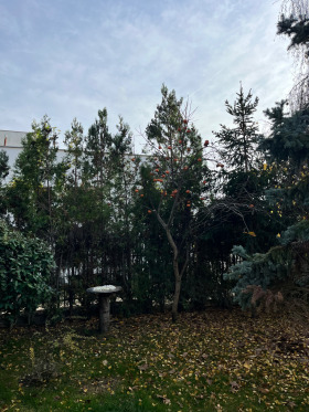 ���� ��� ���� 1-����� | Imot.bg � ����� ������ 11