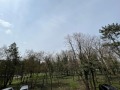 Дава под наем 1-СТАЕН, гр. Велико Търново, Център, снимка 9
