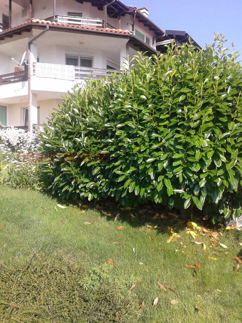 ���� ��� ���� 3-����� | Imot.bg � ����������� 9