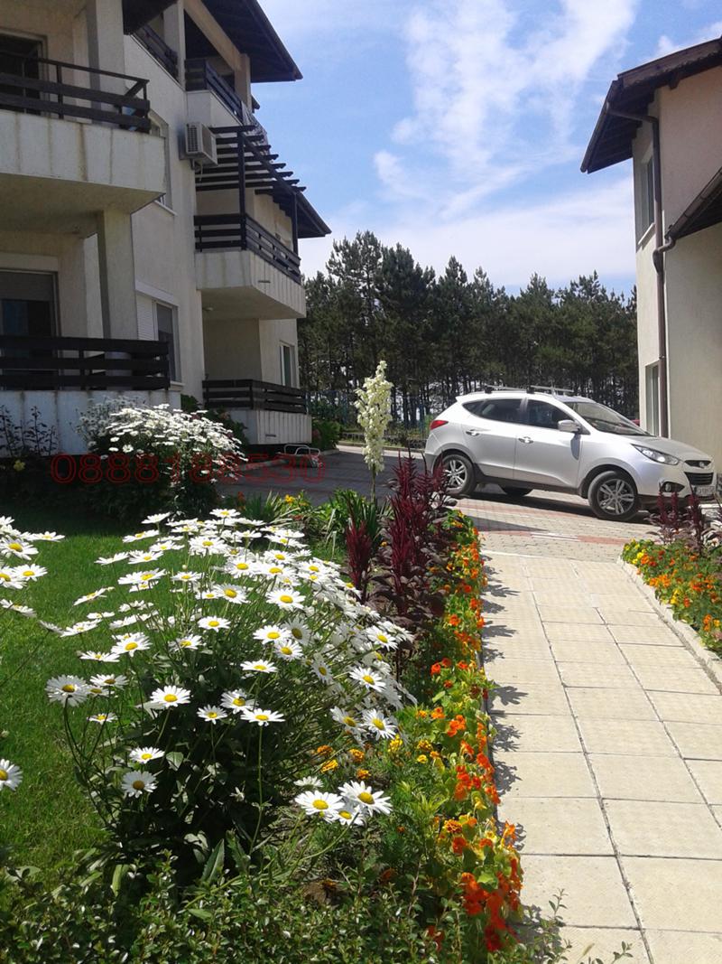 ���� ��� ���� 3-����� | Imot.bg � ����������� 2