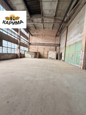 ������ ���� ��� ���� �����