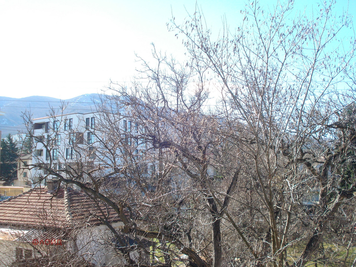 ���� ��� ���� 3-����� | Imot.bg � ����������� 17