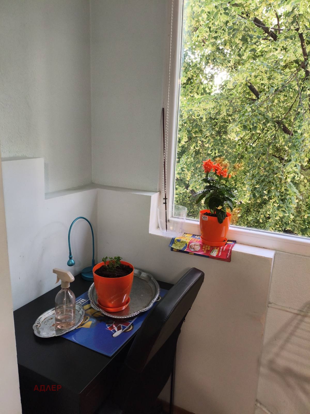 ���� ��� ���� 2-����� | Imot.bg � ����������� 14