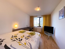 Studio Bansko, region Blagoevgrad 1