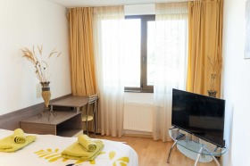 Studio Bansko, region Blagoevgrad 2