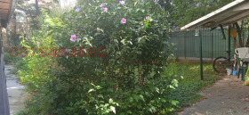    2- | Imot.bg    5