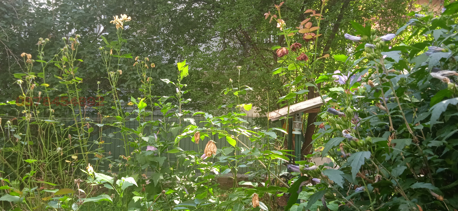 Дава под наем 2-СТАЕН, гр. София, Лозенец, снимка 10 - Апартаменти - 54008331