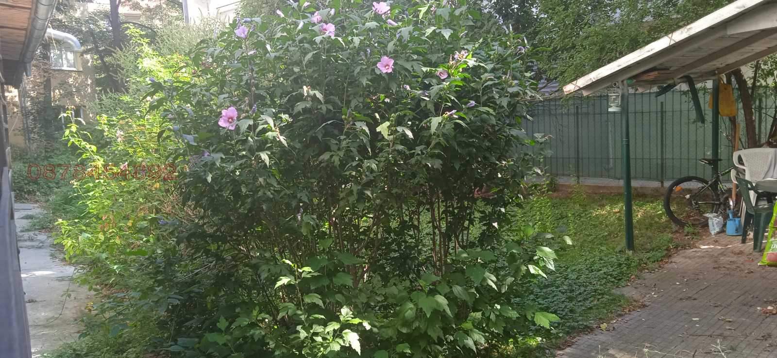 Дава под наем 2-СТАЕН, гр. София, Лозенец, снимка 6 - Апартаменти - 54008331