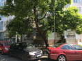 Под наем МАГАЗИН, град София, Студентски град • 1583 € / 3096.08 лв. • 28228137 1