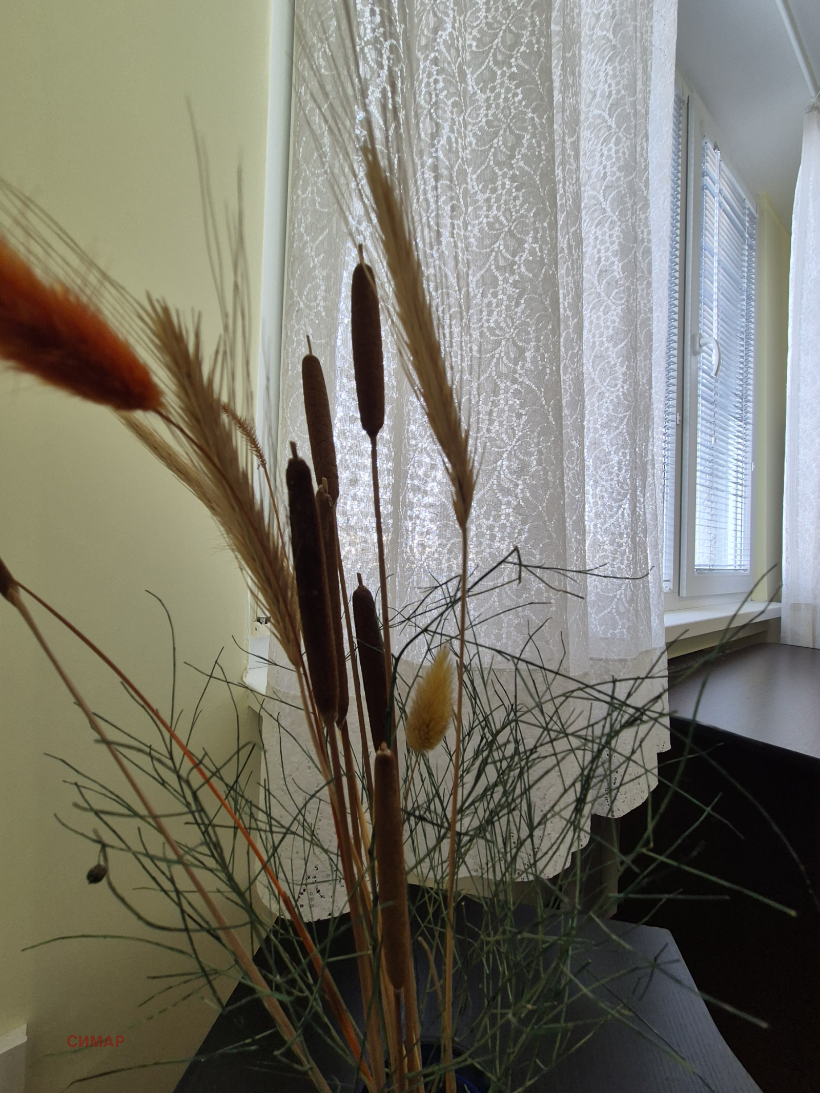 ���� ��� ���� 3-����� | Imot.bg � ����������� 1