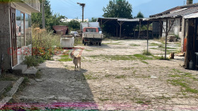���� ��� ���� ����. ��������� | Imot.bg � ����� ������ 10