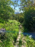 Под наем КЪЩА, град Варна, м-т Планова • 350 лв. • 46006239 — Holmes.bg