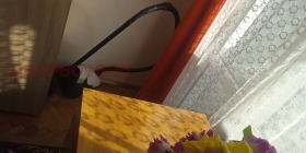 ���� ��� ���� 1-����� | Imot.bg � ����� ������ 4