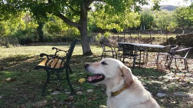 ���� ��� ���� ���� | Imot.bg � ����� ������ 16